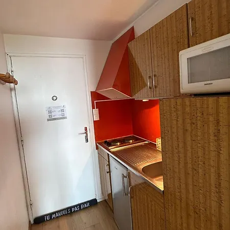 Appartement Ski-in Ski-out Au Cœur Des Pistes - Fr-1-814-27 *