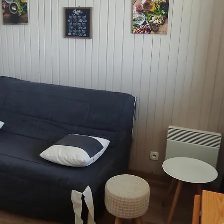 Ski-in Ski-out Au Cœur Des Pistes - Fr-1-814-27 *