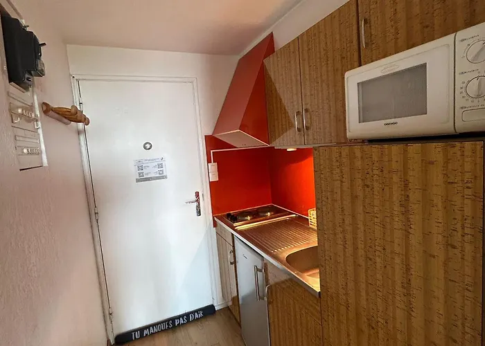 Appartement Ski-in Ski-out Au Cœur Des Pistes - Fr-1-814-27 *