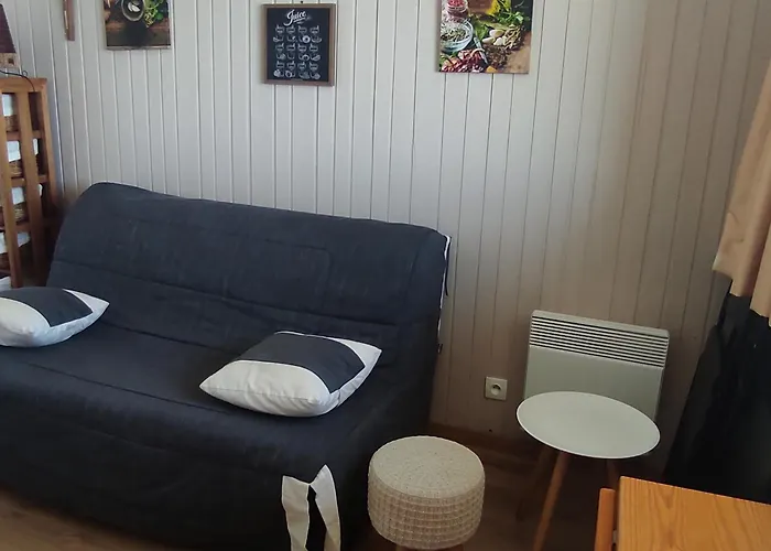 Ski-in Ski-out Au Cœur Des Pistes - Fr-1-814-27 *