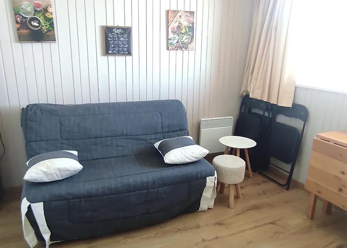 Ski-in Ski-out Au Cœur Des Pistes - Fr-1-814-27 * Super-Besse