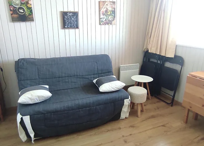 Ski-in Ski-out Au Cœur Des Pistes - Fr-1-814-27 * Super-Besse